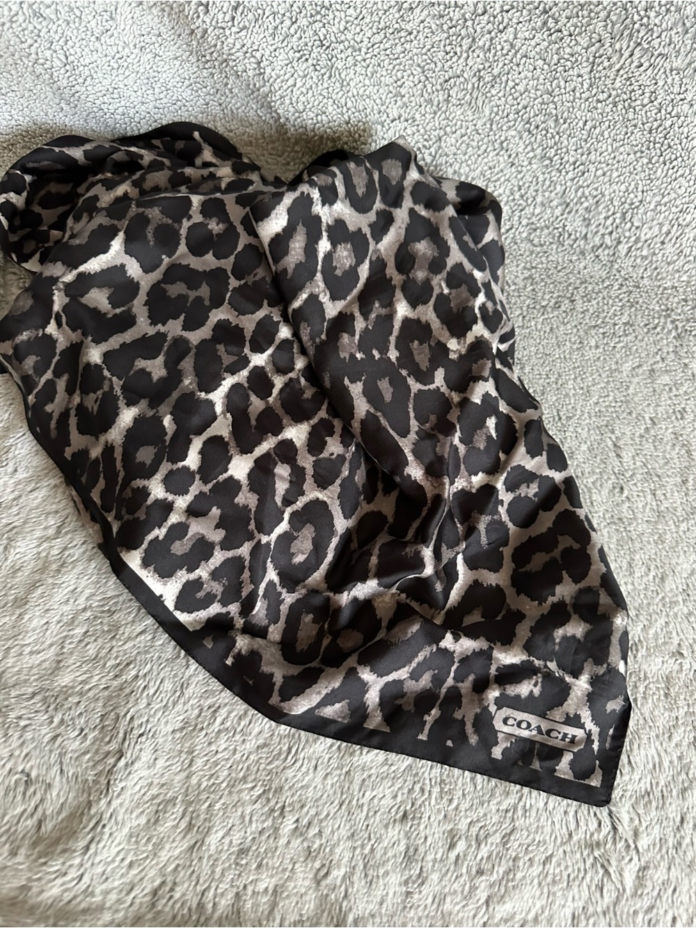 Coach Silk Scarf